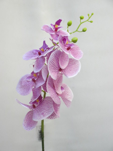Orchideenzweig lila-weiß