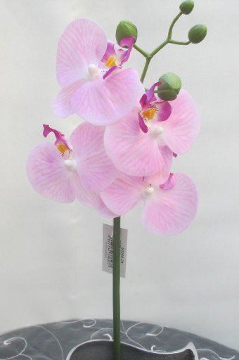 Orchideenzweig rosa